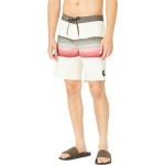 Шорты для плавания Quiksilver Surfsilk Resin Tint 19" Boardshorts, цвет Birch - фото 4