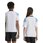 Футболка Adidas Performance Messi Training Jersey Kids, белый - фото 4