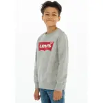 Детская толстовка Levi's "LVB LVB FRENCH TERRY BATWING", для МАЛЬЧИКОВ Levi'S Kids, серый - фото