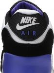 Nike Air Max 90 Persian Violet