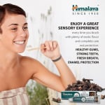 Зубная паста Himalaya HERBALS с гвоздичным маслом 100г - фото 2