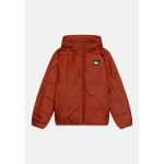 Зимняя куртка SCALY REVERSIBLE YOUTH Quiksilver, коричневый - фото 3