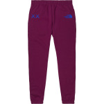 Спортивные брюки The North Face x KAWS Sweatpants 'Pamplona Purple', фиолетовый - фото