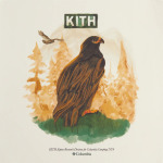 Футболка Kith For Columbia Eagle Illustration Vintage, светло-бежевый - фото 3