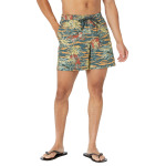 Шорты Quiksilver, Oceanmade Mix Stretch 17" Volley - фото