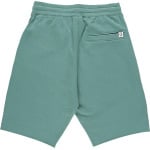 Шорты Billionaire Boys Club Tropics Short 'Deep Sea Coral', красный - фото 2