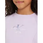 Толстовка Calvin Klein Jeans "GRADIENT MONOGRAM CN SWEATSHIRT", для детей до 16 лет, цвет Pastel Lilac - фото 4