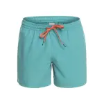 Купальные шорты Quiksilver "Everyday 15"", цвет Brittany Blue - фото