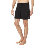 Шорты Quiksilver 17" Everyday Solid Volley Shorts, черный - фото