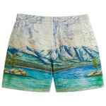 Шорты Kith For Columbia Lake Tahoe Fleece Short, разноцветный - фото 2