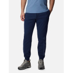 Спортивные брюки Columbia CSC Logo Fleece Jogger II, синий - фото