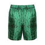 Шорты Givenchy Formal Elasticated 'Green', зеленый - фото 2