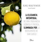 Мужская туалетная вода EAU SAUVAGE Eau de Toilette Dior, 200 - фото 3