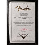 Fender Custom Shop Limited Edition Double Esquire (Telecaster) Super Heavy Relic Aged Black - фото 19