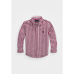 Рубашка STRIPED COTTON POPLIN SHIRT Ralph Lauren, белый - фото