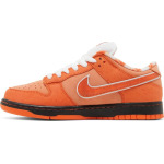 Кроссовки Nike Concepts x Dunk Low SB 'Orange Lobster', оранжевый - фото 3