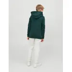 Детская толстовка с капюшоном Jack & Jones "JORLAKEWOOD SWEAT HOOD BF JNR" Jack & Jones Junior, цвет Magical Forest - фото 2