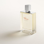 Terre D'hermès Eau Givrée 100 мл Hermès - фото 6