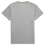 Футболка Cotopaxi Cotopaxi Llama T-Shirt, цвет Heather Grey - фото 2