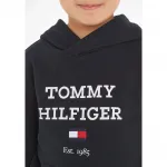 Толстовка с капюшоном Tommy Hilfiger «TH LOGO HOODIE SWEATSET», цвет Desert_Sky - фото 3