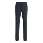 Детские спортивные штаны Jack & Jones "JPSTGORDON JJSWIFT SEAT PANTS NOOS JNR" Jack & Jones Junior, синий - фото 5