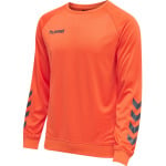 Толстовка Hummel Raglanärmel Hmlpromo Multisport Herren, цвет nasturtium **do not use - фото 4