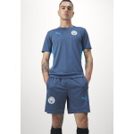 Брюки MANCHESTER CITY TRAINING SHORTS Puma, синий - фото 4