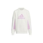 Толстовка GS Adidas, цвет Jade White - фото