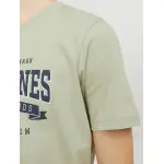 Рубашка с круглым вырезом для подростков Jack & Jones "JJELOGO TEE SS NECK 2 COL AW23 NOOS JNR" Jack & Jones Junior, цвет Desert Sage - фото 4