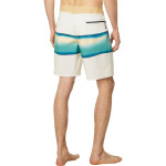 Шорты для плавания Quiksilver Surfsilk Air Brush 19" Boardshorts, цвет Birch - фото