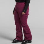 Брюки The North Face Freedom Stretch Plus Short, цвет Boysenberry - фото 2