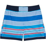 Шорты для плавания Columbia Sandy ShoresBoardshorts, цвет Bright Indigo Danby Stripe/Collegiate Navy - фото 2