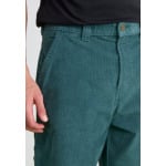 Брюки SEASONAL PANT Dickies, темно-зеленый - фото