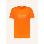 Футболка merino 150 tech lite icebreaker, цвет ORANGE/CREME - фото