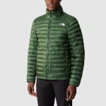 Стеганая куртка мужская Pine Needle Green The North Face, зеленый - фото 5