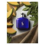 Туалетная вода 40ml RALPH LAUREN - фото 3