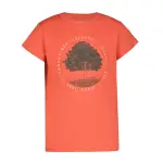 Футболка Icepeak "K SHIRT LEADORE", цвет Mandarine - фото 2