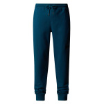 Брюки The North Face M NSE PANT, синий - фото