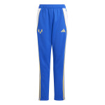 Спортивные брюки Adidas Performance Pitch 2 Street Messi Pants Kids, синий - фото