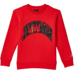 Толстовка Jordan Essentials Plaid Crew Sweatshirt, цвет Fire Red - фото