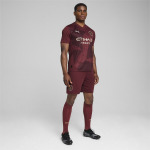 Джерси PUMA Jersey Manchester City, фиолетовый - фото 2