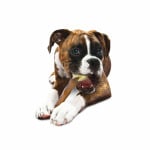 Nylabone Extreme Chew Femur - со вкусом говядины Xl М Nylabone - фото 4