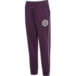 Спортивные брюки Hummel Hmlselma Multisport Mädchen, цвет plum perfect - фото 4