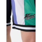 Шорты Varsity Striped Unisex Karl Kani, разноцветные - фото 3