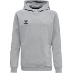 Худи Hummel Hmlmove Multisport Kinder, цвет grey melange - фото