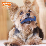 Nylabone Dental Chew для борьбы с налетом XS Nylabone, цвет синий - фото 3