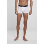 Боксеры Brandit Boxershorts, цвет wht/wht - фото 2