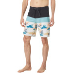 Шорты для плавания Quiksilver Surfsilk Panel 20" Boardshorts, цвет Iron Gate - фото 3