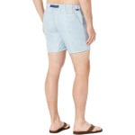 Пляжные шорты Helly Hansen Solen Printed Recycled Watershorts, цвет Dusty Blue - фото 2