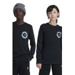 Хлопковые лонгсливы adidas Originals для мальчиков и девочек GFX LONGSLEEVE, черный - фото